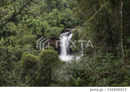 THAILAND NAKHON RATCHASIMA KHAO YAI NATIONALPARK HAEW SUWAT WATERFALL THAILAND NAKHON RATCHASIMA KHAO YAI NATIONALPARK HAEW SUWAT WATERFALL 142606823