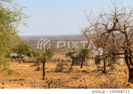 Traditional Maasai village in Tanzania, East Africa Traditional Maasai village in Tanzania, East Africa 142608711