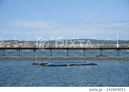 Floating solar panel platform in the estuary beside a historic iron pier 142609051