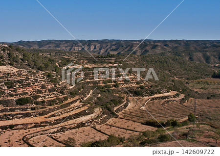 Terraced hillsides carved into earth tones, dotted with sparse greenery Terraced hillsides carved into earth tones, dotted with sparse greenery 142609722