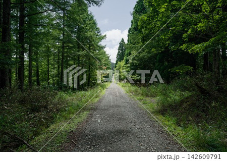 林道 142609791
