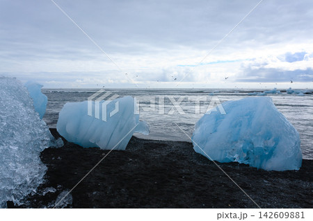 Icebergs on water, Jokulsarlon glacial lake, Iceland Icebergs on water, Jokulsarlon glacial lake, Iceland 142609881
