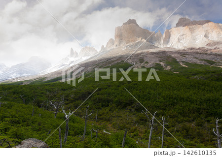 French Valley landscape, Torres del Paine, Chile 142610135