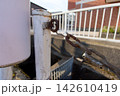 錆びたチェーンと古い金属製ポール 142610419