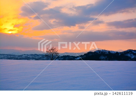 雪峠朝焼けの夜明け 雪峠朝焼けの夜明け 142611119