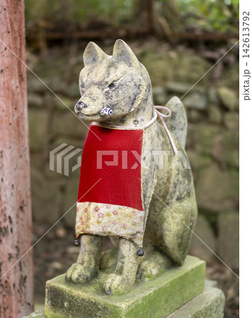赤い前掛けを付けた稲荷神社の狛狐 赤い前掛けを付けた稲荷神社の狛狐 142613792
