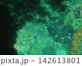 ブルーに包まれた神秘の渓谷 ブルーに包まれた神秘の渓谷 142613801