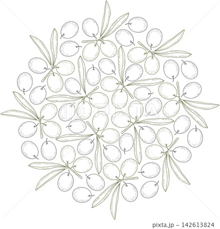 Round botanical composition of olives and leaves in monochrome hand drawn vintage engraving style. Isolated vector illustration for olive oil branding, food packaging, labels, menus and stationery. Round botanical composition of olives and leaves in monochrome hand drawn vintage engraving style. Isolated vector illustration for olive oil branding, food packaging, labels, menus and stationery. 142613824
