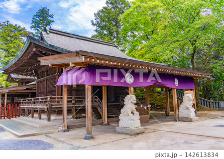 【栃木県】新緑の唐澤山神社 境内 【栃木県】新緑の唐澤山神社 境内 142613834