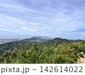 山頂から見下ろす緑と街並みと海のパノラマ 142614022