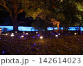 夜の庭園を彩る蓮の花と幻想的な光の演出 142614023