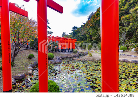 青森県 髙山稲荷神社の風景 青森県 髙山稲荷神社の風景 142614399