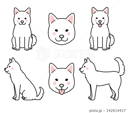 紀州犬のセットのベクターイラスト 紀州犬のセットのベクターイラスト 142614417