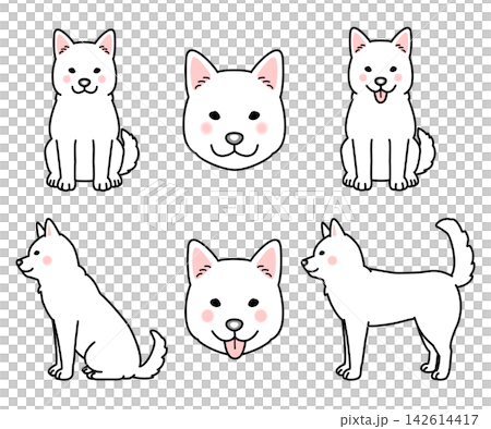 紀州犬のセットのベクターイラスト 紀州犬のセットのベクターイラスト 142614417