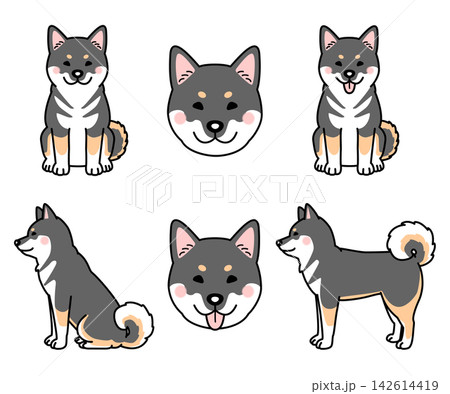 四国犬のセットのベクターイラスト 四国犬のセットのベクターイラスト 142614419