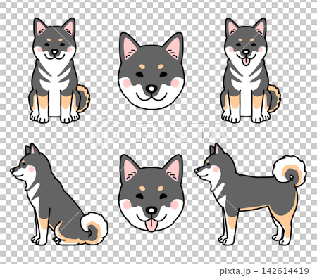 四国犬のセットのベクターイラスト 四国犬のセットのベクターイラスト 142614419
