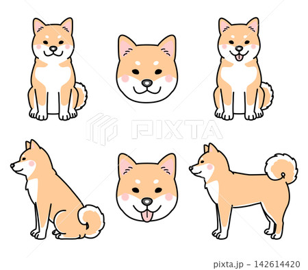 柴犬のセットのベクターイラスト 柴犬のセットのベクターイラスト 142614420