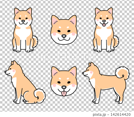 柴犬のセットのベクターイラスト 柴犬のセットのベクターイラスト 142614420