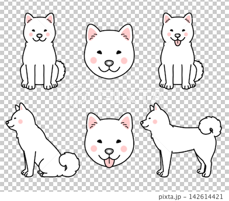 一組北海道犬的向量插圖 一組北海道犬的向量插圖 142614421