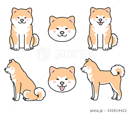 秋田犬のセットのベクターイラスト 秋田犬のセットのベクターイラスト 142614422