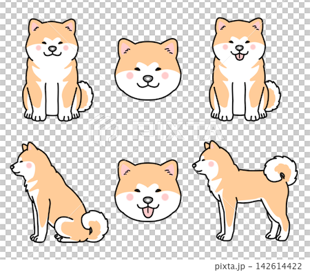 一組秋田犬的向量插圖 一組秋田犬的向量插圖 142614422