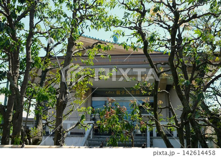 若葉に囲まれた、日本画の巨匠川端龍子の記念館 142614458