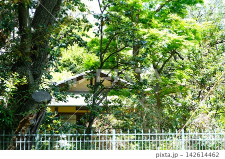 若葉に囲まれた、日本画の巨匠川端龍子の記念館 142614462