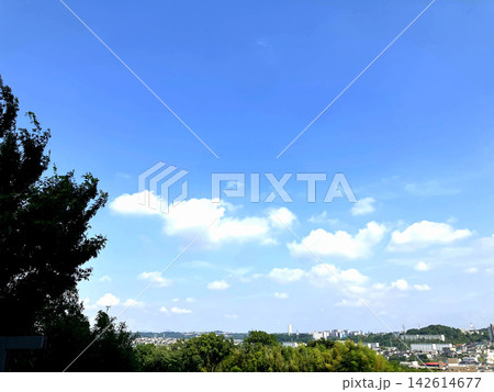 わた雲の浮かぶ青空と郊外の街並み わた雲の浮かぶ青空と郊外の街並み 142614677