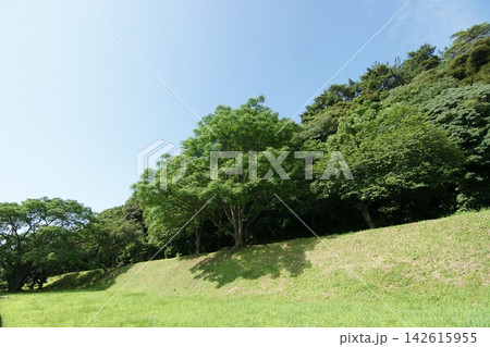 鳥取 四季の散歩 青島 夏 鳥取 四季の散歩 青島 夏 142615955