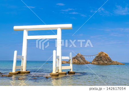 玄海国定公園　桜井二見ヶ浦　海中大鳥居と夫婦岩 142617054