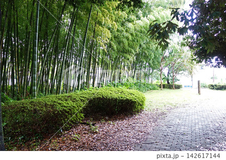 都立武蔵野公園の分園(東京都小金井市) 都立武蔵野公園の分園(東京都小金井市) 142617144