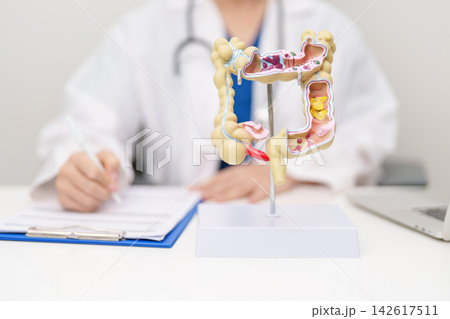 Doctor with human Colon anatomy model. Colonic disease, Large Intestine, Colorectal cancer, Ulcerative colitis, Diverticulitis, Irritable bowel syndrome, Digestive system and Healthcare concept Doctor with human Colon anatomy model. Colonic disease, Large Intestine, Colorectal cancer, Ulcerative colitis, Diverticulitis, Irritable bowel syndrome, Digestive system and Healthcare concept 142617511