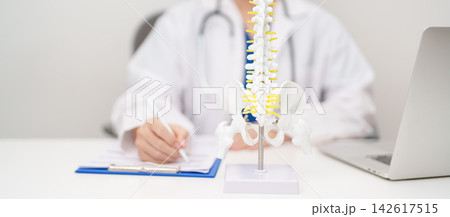 Doctor with human Spine anatomy model. Spinal Cord Disorder and disease, Back pain, Lumbar, Sacral pelvis, Cervical neck, Thoracic, Coccyx, Orthopedist, chiropractic, Office Syndrome and health 142617515