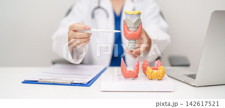 Doctor with human Thyroid anatomy model. Hyperthyroidism, Hypothyroidism, Hashimoto Thyroiditis, Thyroid Tumor and Cancer, Postpartum, Papillary Carcinoma and Health concept 142617521