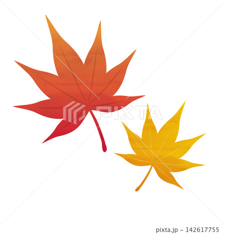 紅葉イラストセット:水彩風の秋の葉・もみじ・秋色の自然素材 紅葉イラストセット:水彩風の秋の葉・もみじ・秋色の自然素材 142617755