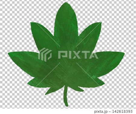 簡單的綠色楓葉 簡單的綠色楓葉 142618393