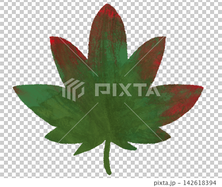 楓葉開始變紅 楓葉開始變紅 142618394
