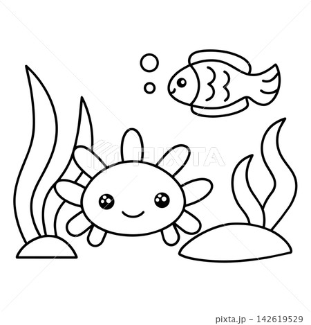 Axolotl Axolotl 142619529