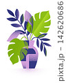 Botanical halftone plant in vase with tropical leaf illustration 142620686