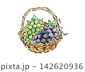 絵手紙風のかごに入ったぶどうのイラスト 142620936