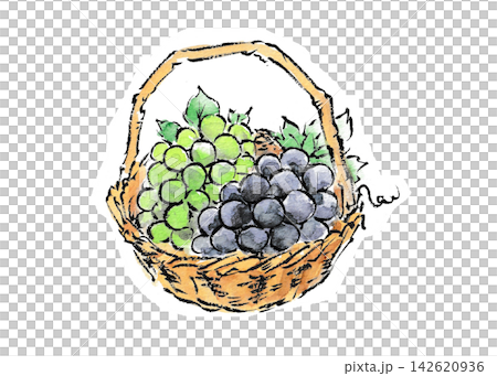 An illustration of grapes in a basket, in the style of a picture postcard. 142620936