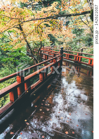 石川県・那谷寺の紅葉 石川県・那谷寺の紅葉 142621087
