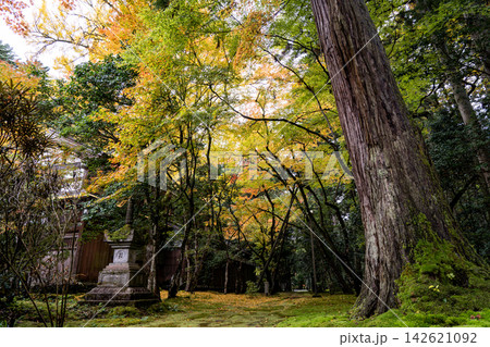 石川県・那谷寺の紅葉 石川県・那谷寺の紅葉 142621092