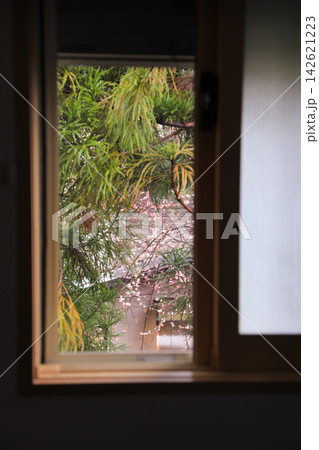 部屋の窓越しに見える松の葉と春を告げる薄桃色の梅の花 部屋の窓越しに見える松の葉と春を告げる薄桃色の梅の花 142621223