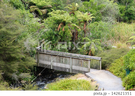 Bridge over stream - Rotorua Bridge over stream - Rotorua 142621351
