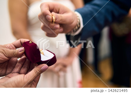 View of a couple's hands, placing their wedding rings on their fingers, in a civil ceremony; detail of their rings. Romance, bride and groom, union, love 142621495