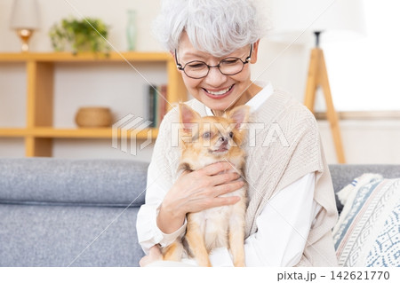 家族　チワワを抱っこしているシニア女性 142621770
