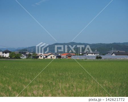 青天の空と四国山脈と香長平野(夏の終わりの田園地帯) 青天の空と四国山脈と香長平野(夏の終わりの田園地帯) 142621772