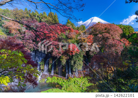 【富士山素材】紅葉の白糸の滝と冠雪した富士山【静岡県】 142622101