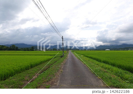 Japanese countryside with rice fields and rural landscape Japanese countryside with rice fields and rural landscape 142622186
